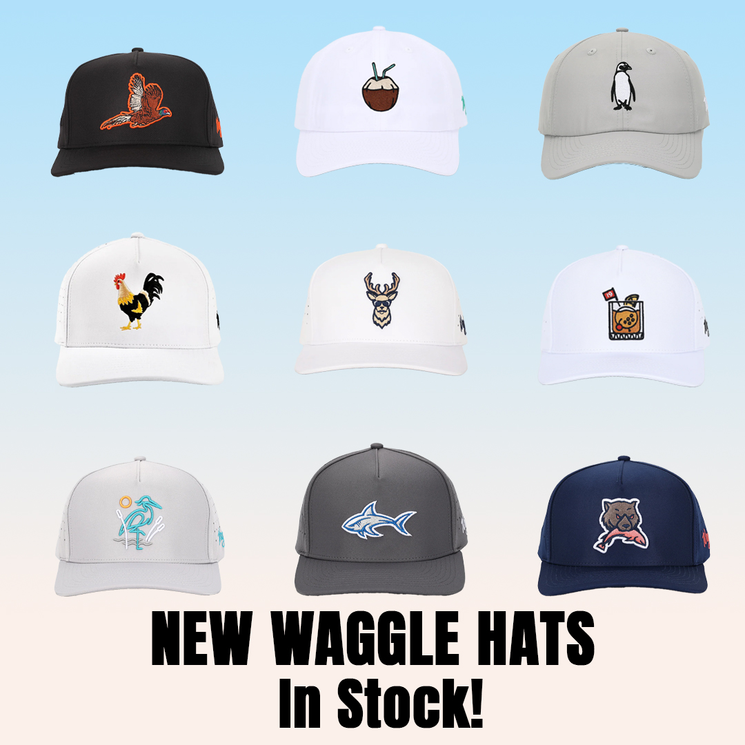 New Arrival